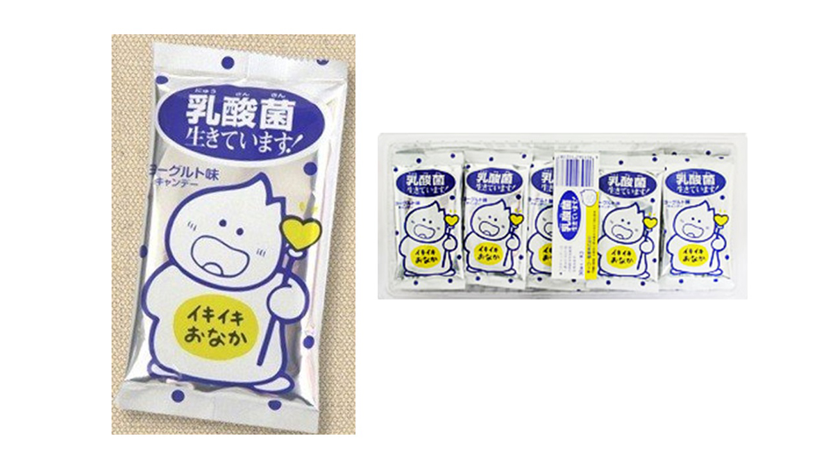 乳酸菌生きています