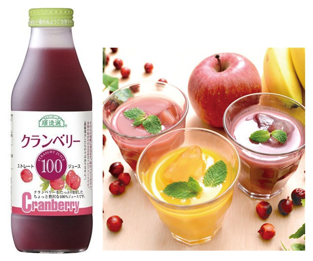 順造選　クランベリー１００