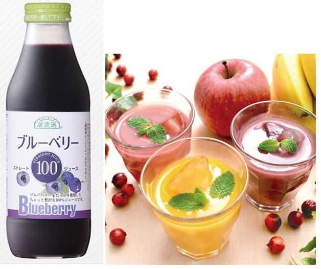 順造選　ブルーベリー１００